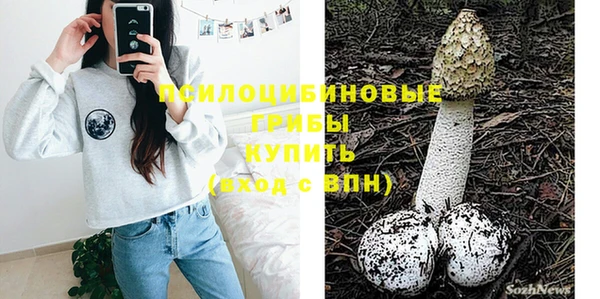 амф Алзамай