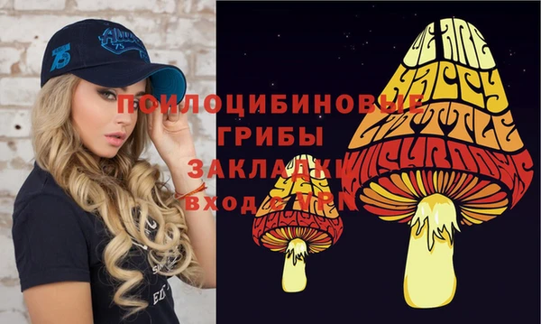 героин Рославль