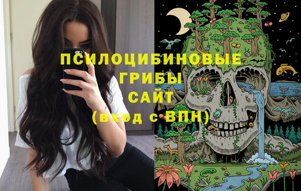амфетамин Алексин