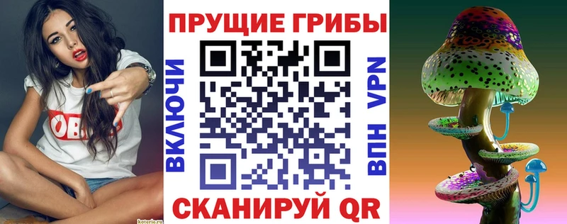Галлюциногенные грибы Cubensis  наркота  Перевоз 